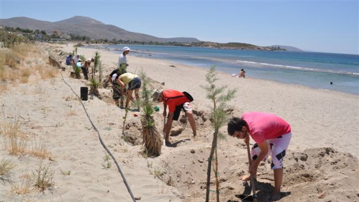 Δενδροφύτευση και καθαρισμός παραλίας από τη Rolco στο Λαγονήσι